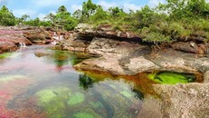 Dòng sông 7 màu 'chảy từ thiên đường'