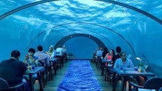 Khám phá nhà hàng kính dưới nước lớn nhất thế giới