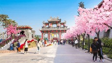 Hạ Long: Du khách mãn nhãn với lễ hội 'Kỳ quan muôn sắc hoa' độc lạ