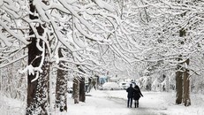 Paris đẹp lạ lùng dưới 15 cm tuyết phủ