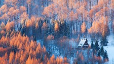 Quang cảnh tuyệt đẹp của đường biên giới giữa Ba Lan và Slovakia