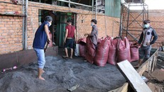 Bộ NN&PTNT khẳng đị nh số cà phê bẩn được mua lại từ cơ sở của bà Loan chưa được bán trực tiếp cho người tiêu dùng hay xuất khẩu. Ảnh: Tây Nguyên.