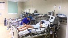 Sau sốt hai ngày, hai trẻ hôn mê vì viêm não Nhật Bản