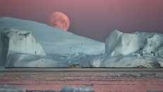 Ngắm vẻ đẹp siêu thực của vịnh băng Ilulissat