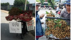 Sự thật đằng sau quả 'nhãn lồng Hưng Yên' đang bày bán nhan nhản ở Hà Nội