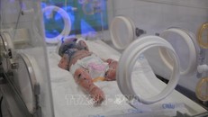 Bé trai mặc bệnh lạ, đóng vảy toàn thân