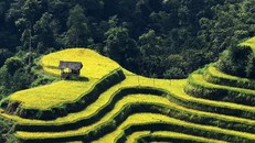 (Ảnh: Vũ Bắc/Vietnam+)