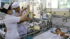 Tay chân miệng tăng đột biến: Lý giải bất ngờ từ Viện trưởng Pasteur