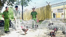 Thảo bị công an bắt giữ. Ảnh: Trần Hồng.