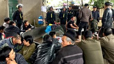 Hiện trường vụ đánh bạc bằng hình thức cá cược đá gà. Ảnh: Công an Quảng Trị.