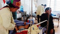 Một trẻ 7 tuổi tử vong, 3 cháu khác cấp cứu do ăn sắn sống