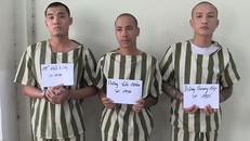 Các đối tượng bị bắt