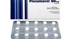 Đình chỉ lưu hành toàn quốc tất cả các lô thuốc Pneumorel (Fenspiride hydrochloride 80mg) do Công ty Les Laboratories sản xuất.