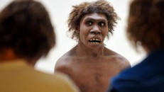 Người Neanderthal. (Nguồn: Getty)