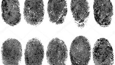 Trung bình một người có khoảng 50 điểm giao nhau giữa các đường vân trên mỗi ngón tay.