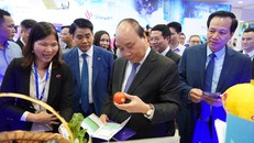 Thủ tướng thăm các gian hàng được trưng bày tại bức tường công nghệ Việt. Ảnh: VGP/Quang Hiếu