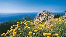 Hòn đảo đặc biệt: Miễn phí phòng khách sạn nếu trời mưa