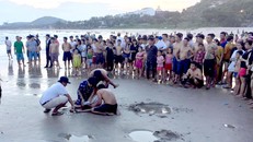 Lực lượng cứu hộ đã đưa được 5 em vào bờ nhưng 2 em đã tử vong. Ảnh: Lê Huân.