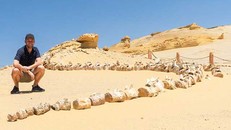 Bí ẩn thung lũng cá voi kỳ lạ giữa sa mạc khô cằn