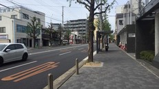 Những chuyện lạ ở nơi hiếm mới nghe tiếng còi xe khi ra đường