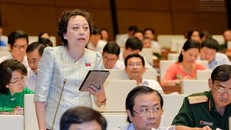 Đại biểu Phạm Khánh Phong Lan.