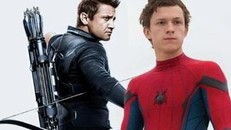 'Hawkeye' cầu xin đưa Spider Man quay trở lại Marvel