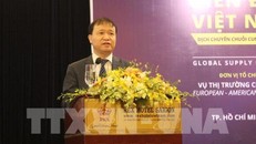 Thứ trưởng Bộ Công Thương Đỗ Thắng Hải. Ảnh: TTXVN