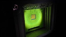 Lá nhân tạo giúp sản xuất nhiên liệu thân thiện với môi trường. Ảnh: Independent.