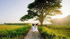 'Mắt biếc' chạm mốc 50 tỷ đồng nhanh nhất lịch sử phim Việt