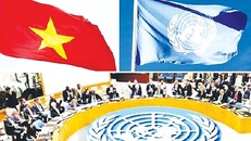 Từ ngày 1-1-2020, Việt Nam chính thức trở thành thành viên HĐBA LHQ.
