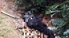 Nghi phạm được phát hiện tử vong trên đồi cà phê. Ảnh: Q.T.