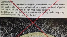 Ảnh chụp màn hình.