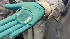 Miếng vá tim này được chấp nhận sử dụng trong y tế và được thiết kế để có thể gắn vào bề mặt bên ngoài của tim.