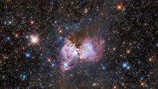 Cận cảnh đám mây hồng đang sinh ra hàng loạt sao khổng lồ - (ảnh: NASA/ESA).