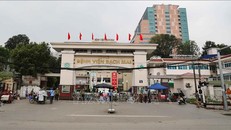 Ảnh: Thanh Tùng/TTXVN