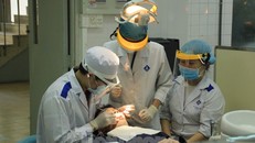 Sinh viên Trường ĐH Y dược TPHCM trong buổi thực hành ngày 10/3