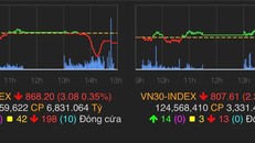 VN-Index mất 3 điểm đẩy chỉ số lùi về 868,2 điểm.