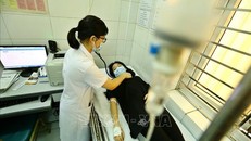 Ảnh: Minh Quyết/TTXVN