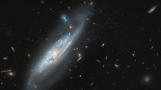 Thiên hà NGC 4848 chụp bởi Hubble. (Ảnh: NASA/ESA).