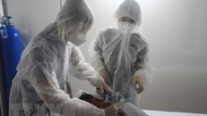 Ảnh minh họa: TTXVN.