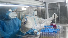 Xét nghiệm sàng lọc bệnh nhân COVID-19. Ảnh: TTXVN