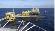 Ai Cập hoàn tất 12 thỏa thuận hợp tác dầu khí mới