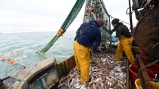 Ngư dân đánh cá trên vùng biển ngoài khơi phía Đông Nam nước Anh ngày 12/10/2020. (Ảnh: AFP/TTXVN)
