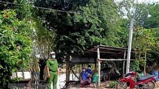 (Ảnh minh họa. Công Mạo/TTXVN)