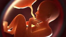 Hạt vi nhựa có thể xâm nhập vào nhau thai người?