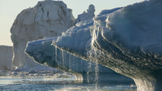 'Vùng băng cuối cùng' của Bắc Cực đối mặt với nguy cơ biến mất