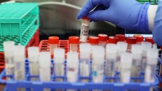 Biến thể virus SARS-CoV-2 mới đã xuất hiện ở 10 quốc gia. Ảnh: Reuters