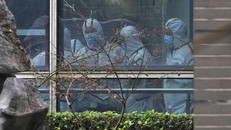 WHO sẽ hủy báo cáo về điều tra nguồn gốc COVID-19