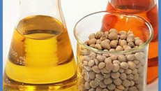 Bỉ cấm sử dụng đậu nành và dầu cọ làm nhiên liệu sinh học