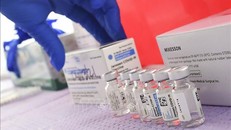 Canada tạm dừng kế hoạch phân phối vaccine của Johnson & Johnson